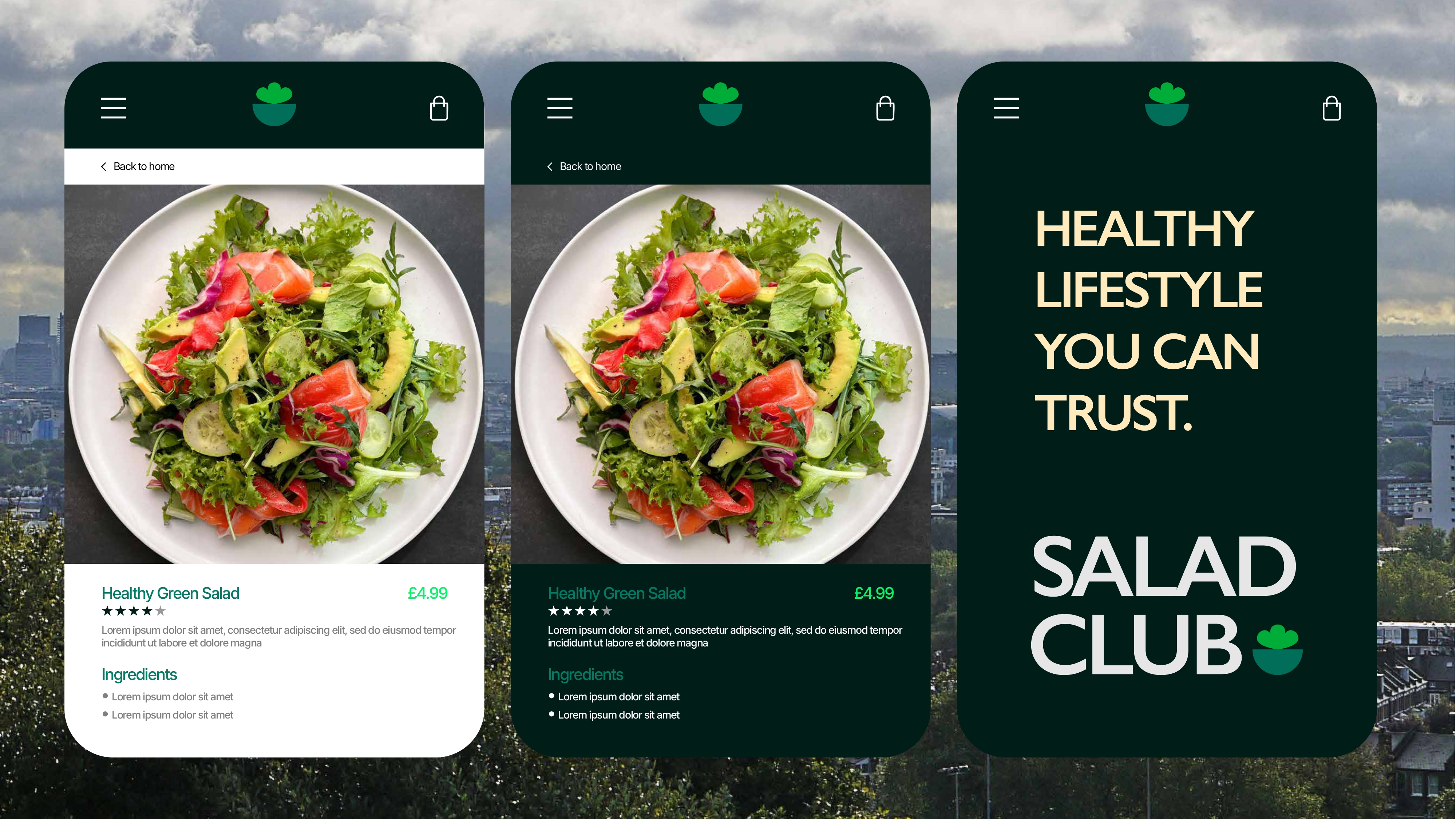 Salad Club brand guidelines — page 8